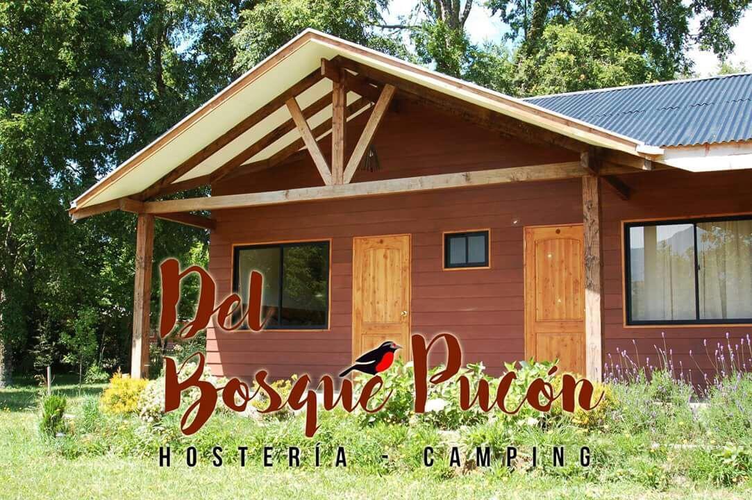 Hosteria Y Camping Del Bosque Pucón Exterior foto